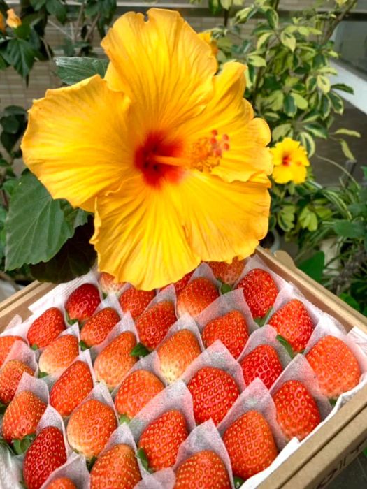 Bức ảnh thứ hai của Xanh Lành Đà Lạt - Nơi thiên nhiên thăng hoa cùng sắc xanh