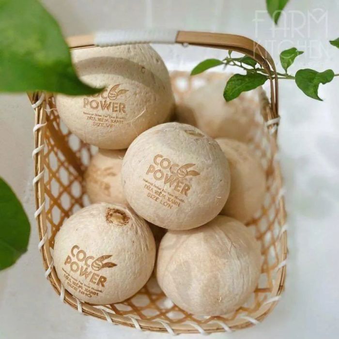 Hình ảnh Xanh Lành Đà Lạt - Không gian trái cây tươi ngon