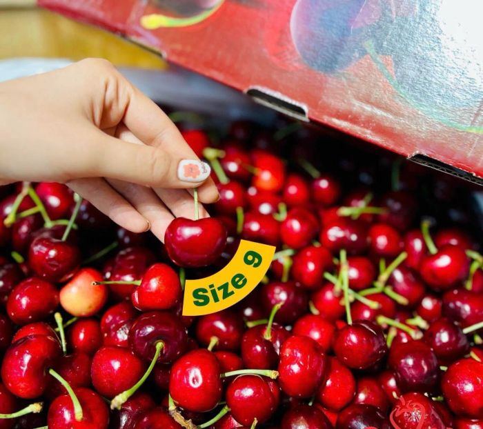 Hình ảnh đầu tiên về Dalat Fine Food - Nơi hội tụ tinh hoa trái cây