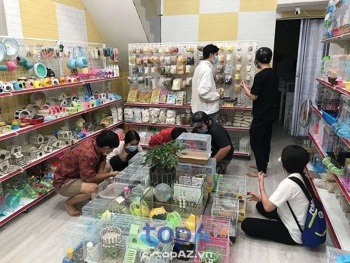 Shop Hamster Bình Dương - Địa chỉ vàng cho người nuôi hamster