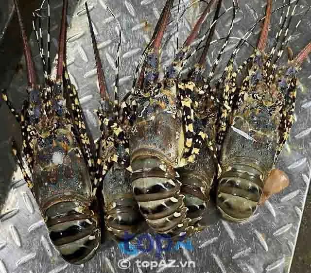 Hải Sản An Quốc Trung - Địa chỉ vàng cho thực khách sành ăn