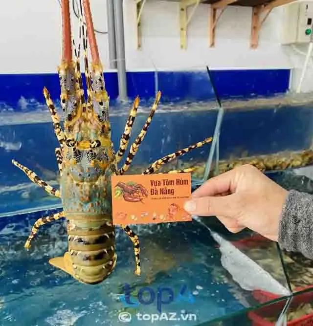 Vựa tôm hùm Đà Nẵng - Điểm đến vàng cho thực khách sành hải sản