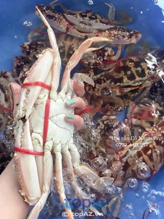 Địa chỉ bán hải sản tươi sống uy tín hàng đầu Đà Nẵng