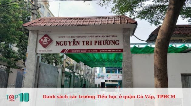 Trường Nguyễn Tri Phương - Hệ thống giáo dục liên cấp chất lượng cao