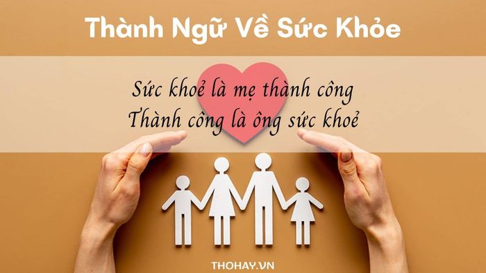 Hình ảnh minh họa bổ trợ được chọn lọc từ nguồn tư liệu đa dạng trên internet