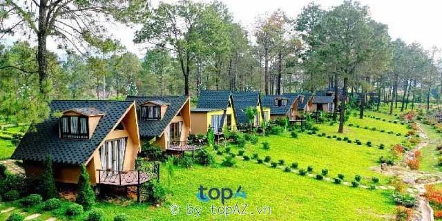 Dịch vụ thiết kế & xây dựng homestay chuyên nghiệp tại Quy Nhơn
