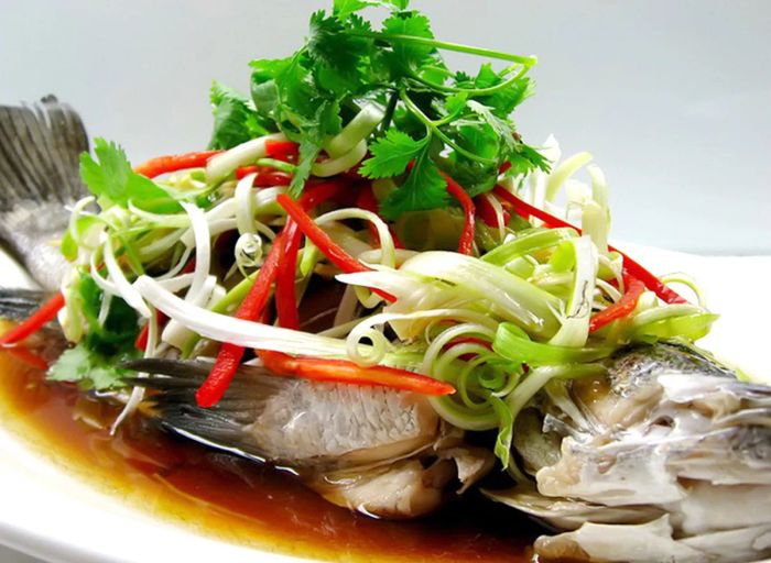 Cá hồi và hải sản - Nguồn collagen biển cả tinh khiết