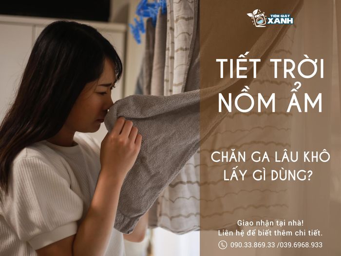TIỆM GIẶT XANH - Hình ảnh 2