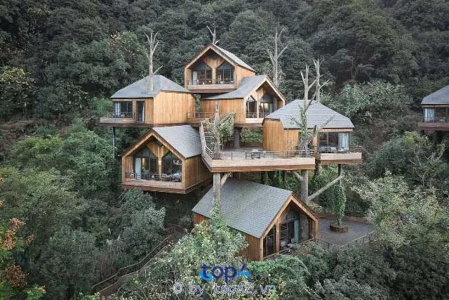 Chuyên gia kiến tạo không gian homestay đẳng cấp tại Quy Nhơn