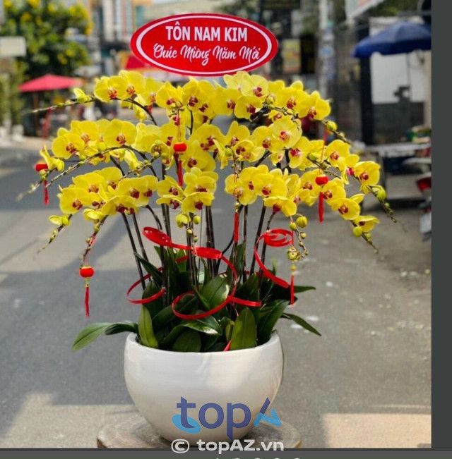 Hoa Hiểu Anh - Điểm hẹn của những tín đồ yêu lan hồ điệp tại Quận 6