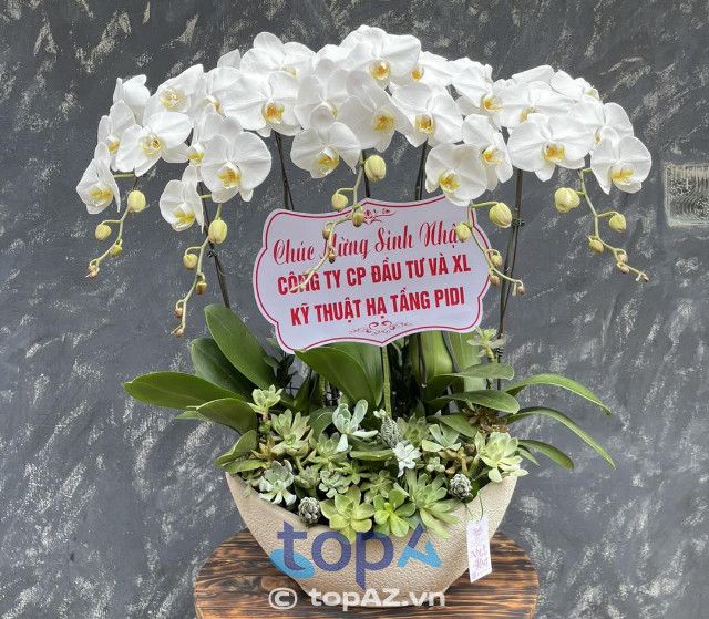 Điểm đến lý tưởng cho người yêu lan hồ điệp tại quận Long Biên