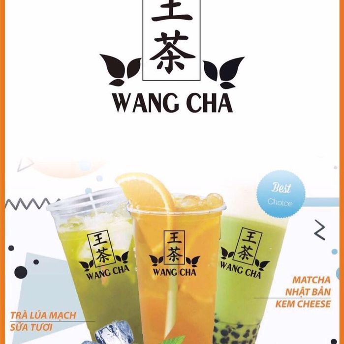Wang Cha Quảng Bình - Không gian sống ảo đầy nghệ thuật