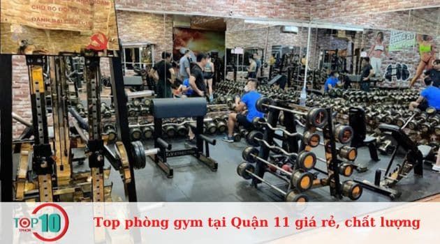 CLB Gym T&V FITNESS - Điểm đến lý tưởng cho gymer Quận 11