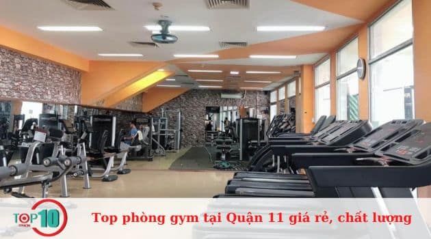 Aviation Gym - Nâng tầm thể lực Việt