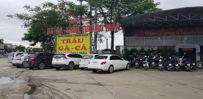 Không gian ấm cúng tại Nhà hàng Long Sữa