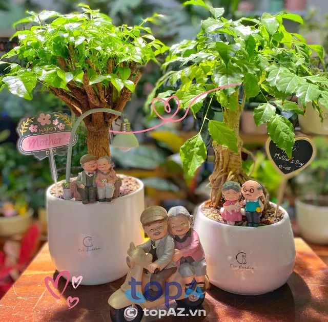 Cus Garden - Ốc đảo xanh giữa lòng Nha Trang