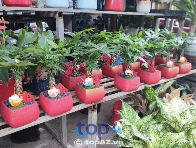Thành Được Garden - Thiên đường xanh Nha Trang