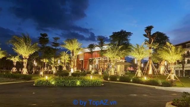 Dịch vụ thiết kế và thi công cảnh quan sân vườn tại TPHCM