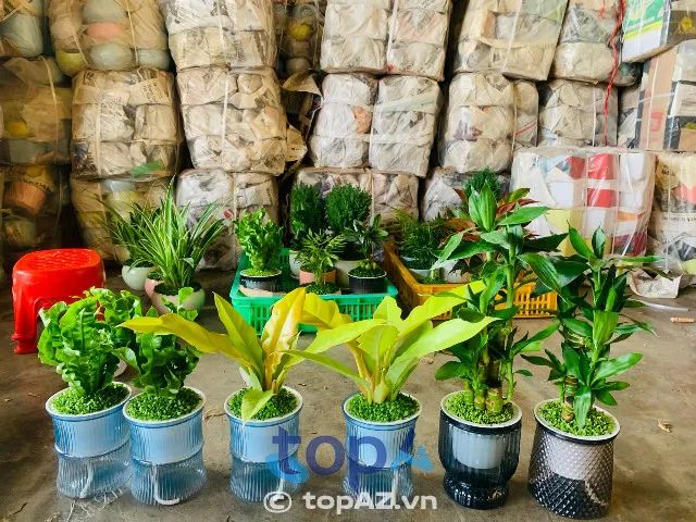 Sóc Garden - Thiên đường phong thủy Nha Trang