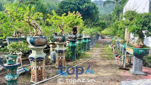 Thương hiệu Cây Xanh Nha Trang