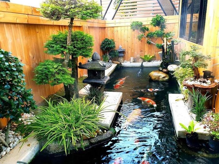 Không gian tiểu cảnh hồ Koi nghệ thuật