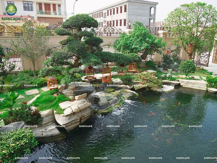 Hồ Koi nghệ thuật đẳng cấp bởi Koiscape