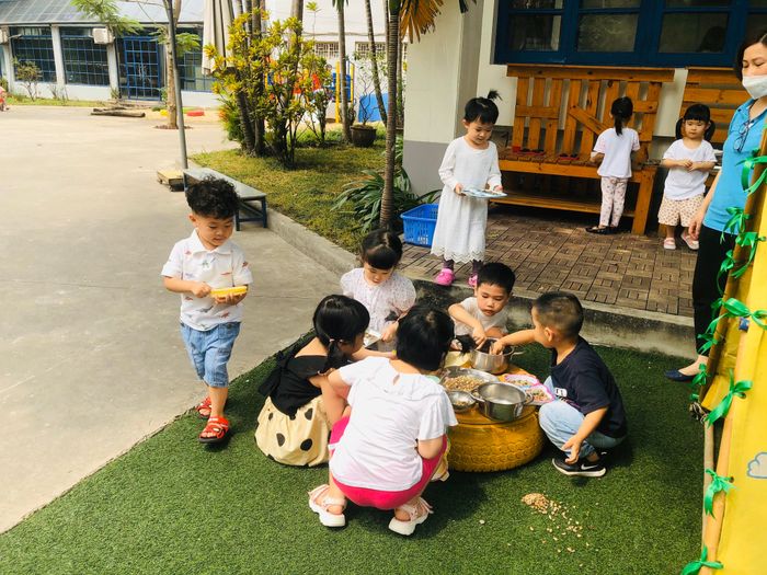 Khu vườn thiên nhiên kỳ thú tại Koala House