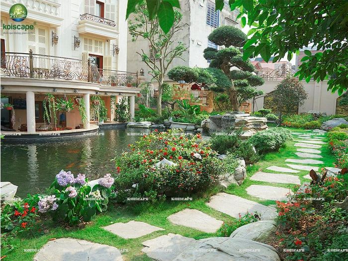 Không gian hồ Koi nghệ thuật tại Koiscape