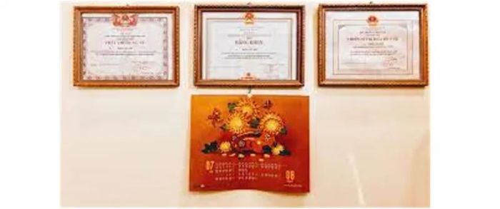Bộ sưu tập bằng khen và giải thưởng danh giá của PGS.TS.BS Trần Lan Anh