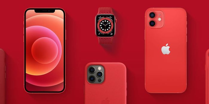 Bộ sưu tập iPhone chính hãng tại Thế Giới Di Động - Chất lượng đảm bảo, giá cả cạnh tranh