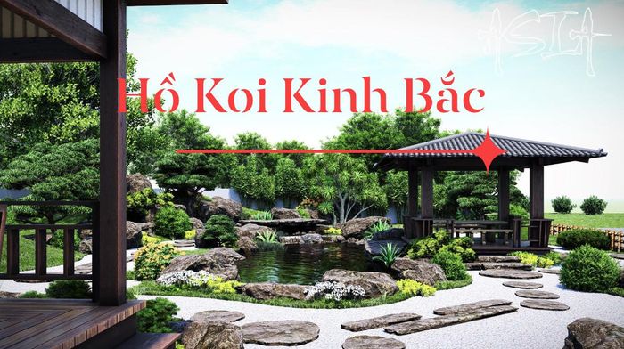 Thiết kế hồ cá Koi đẳng cấp bởi Hồ Koi Kinh Bắc