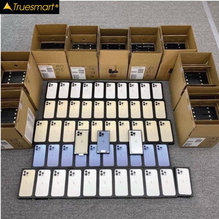 Hình ảnh trải nghiệm mua sắm tại TrueSmart - Không gian hiện đại, dịch vụ chuyên nghiệp