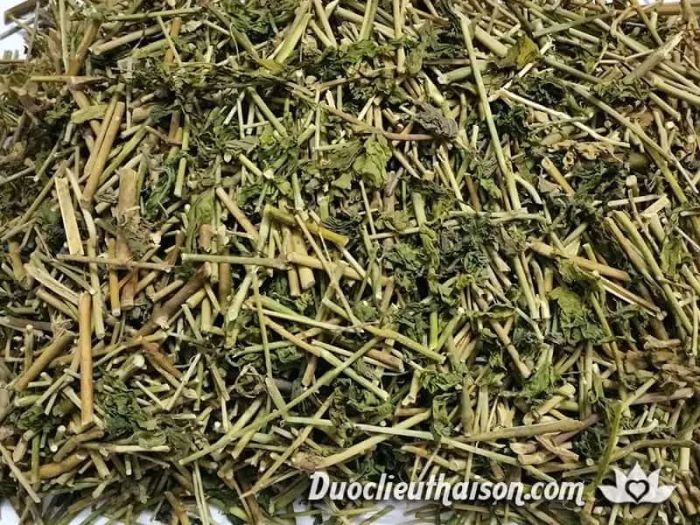 Hình ảnh giới thiệu Công ty TNHH Dược Liệu Thái Sơn