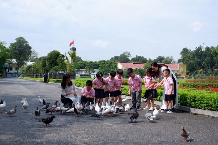 Không gian học tập hiện đại tại Trường Mầm Non Kidsland