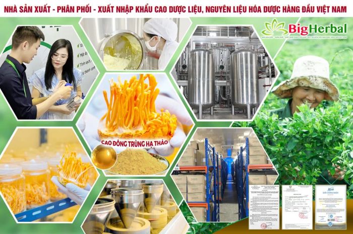 Hình ảnh thứ hai của CTY TNHH Nguyên liệu Dược phẩm Bigherbalife