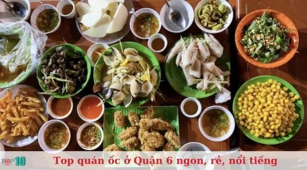 Ốc Hẻm Quán - Địa điểm lý tưởng cho những ai yêu thích món ốc tươi