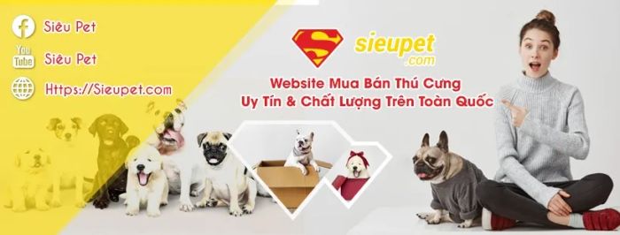 Sieupet.com ảnh 3