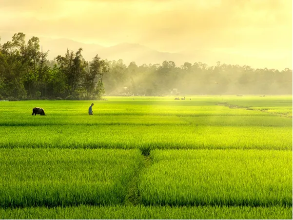 Ảnh minh họa (Nguồn internet) ảnh 1