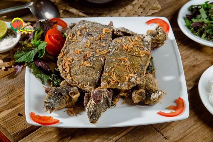 Hình ảnh món ba ba đặc sản