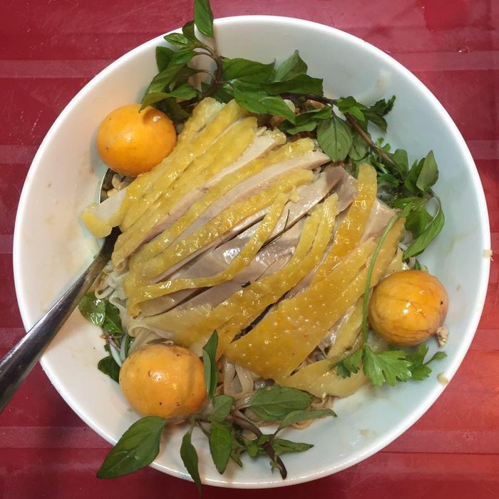 Phở Gà Nguyệt - Nghệ thuật trình bày tinh tế