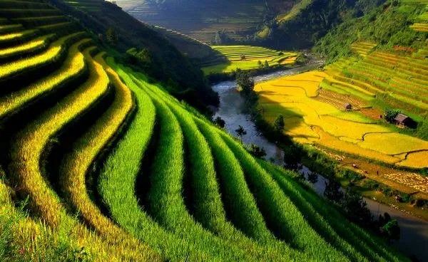Hình ảnh minh họa (Nguồn: internet) - ảnh 1