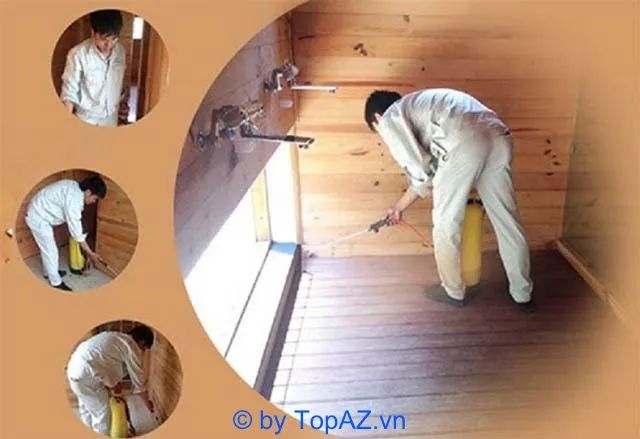 Công ty diệt mối hàng đầu tại Hải Phòng