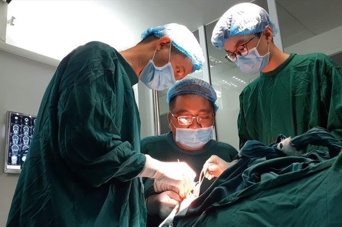 Toàn cảnh hiện đại – Bệnh viện Răng Hàm Mặt Trung ương Hà Nội ảnh 2