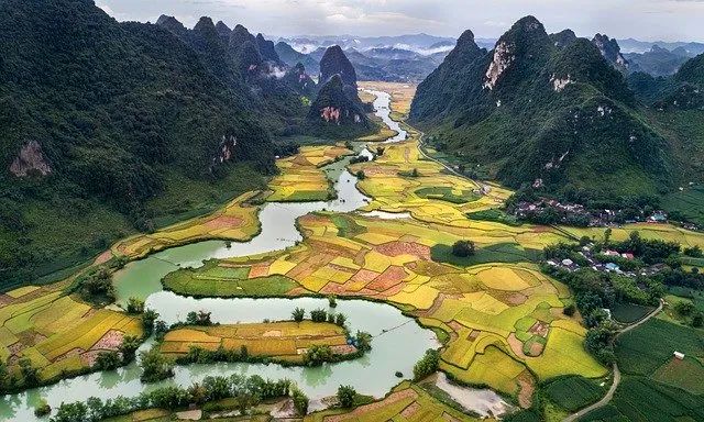 Ảnh minh họa (Nguồn internet) ảnh 1