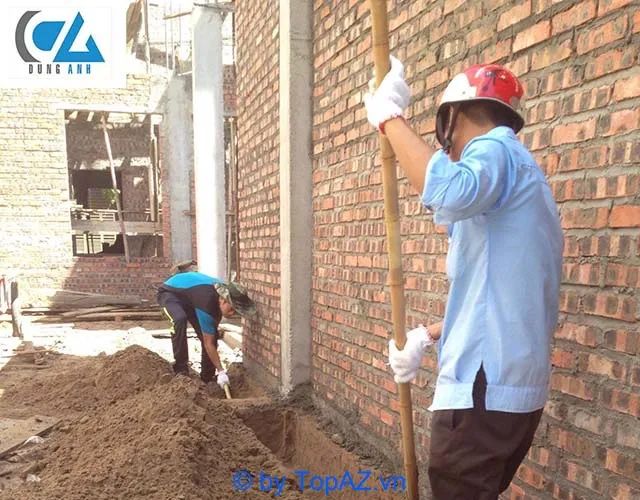 Công ty diệt mối hàng đầu tại Hải Phòng