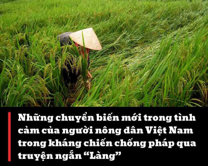 Hình ảnh minh họa chân thực (Nguồn: internet)