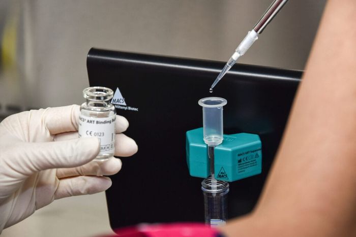 Hình ảnh thực tế phòng khám LDClinic - DrLinhLe hỗ trợ sinh sản