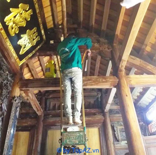 Dịch vụ diệt mối chuyên nghiệp tại Quận 4 - Giải pháp toàn diện từ Đại Việt PestControl