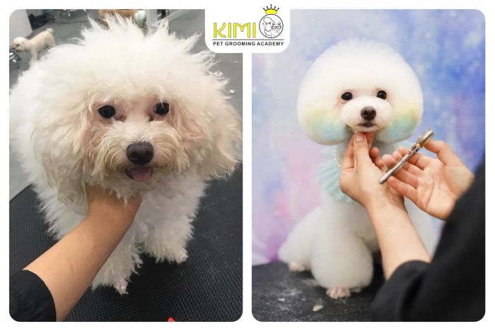 Kimi Pet - Thế Giới Thú Cưng ảnh 1