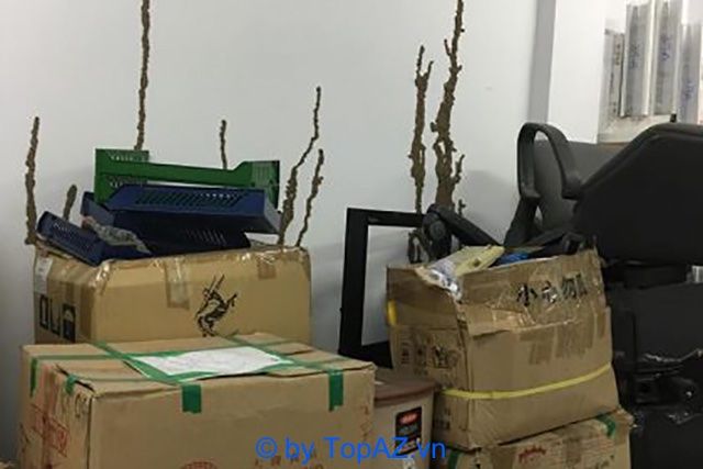 Giải pháp diệt mối tận gốc tại Quận 4 - Bảo vệ ngôi nhà bạn toàn diện